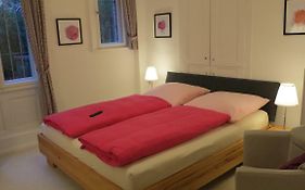 Appartements in zentraler Lage